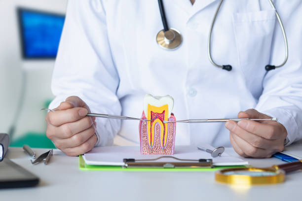 Best Weekend Emergency Dentist in Thornville, OH